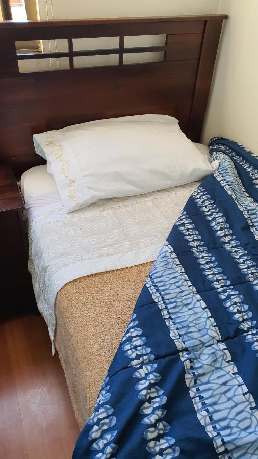Metro Manuel Montt Apartman Santiago Kültér fotó